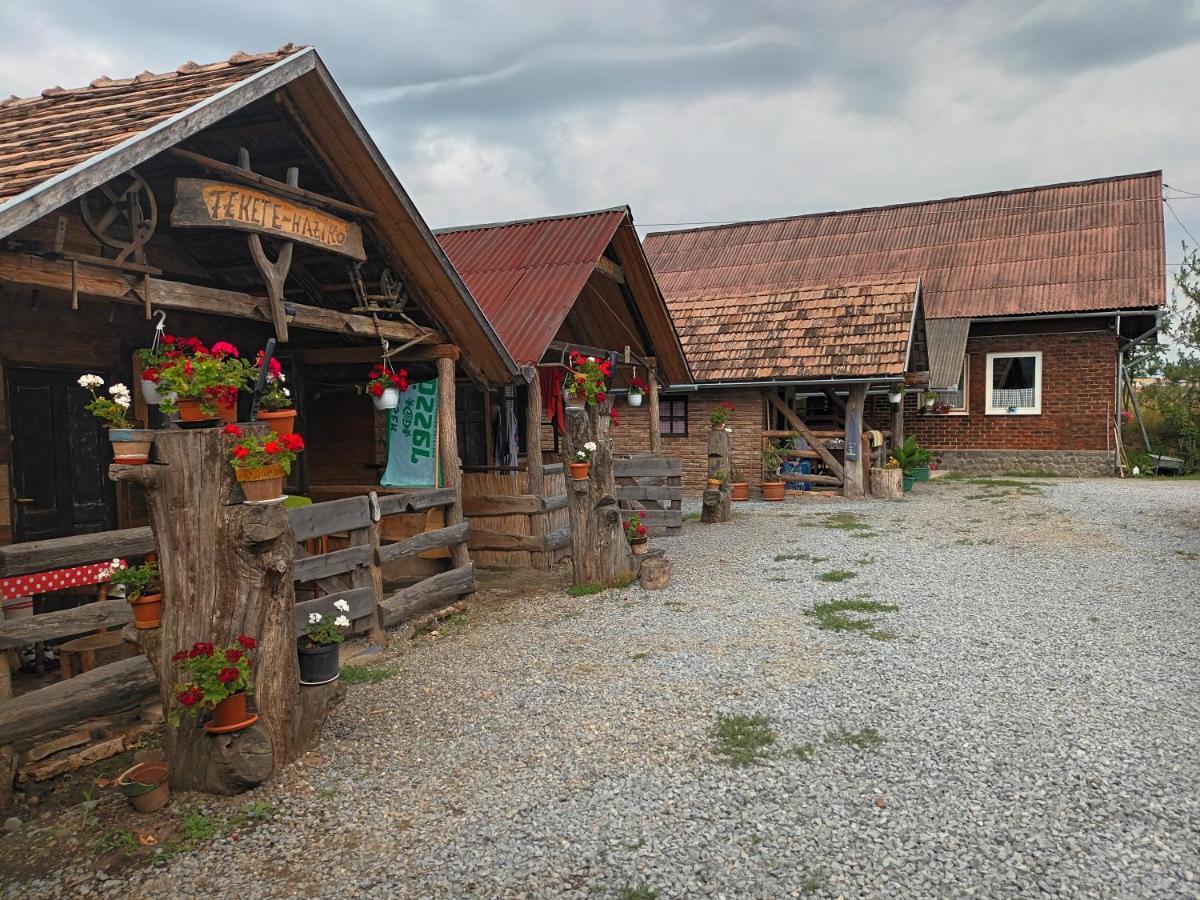סובאטה Casa Rustic Feher & Fekete Vendeghazak מראה חיצוני תמונה